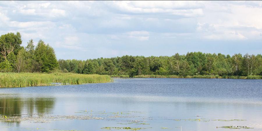 Державі повернули прибережні землі річки Козинки під Києвом загальною вартістю 940 млн. грн - Корупціонер в Україні