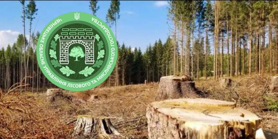 На Буковині викрита чергова «оборудка» збагачення чиновників, які продавали ліс із заповідної зони - Корупціонер в Україні