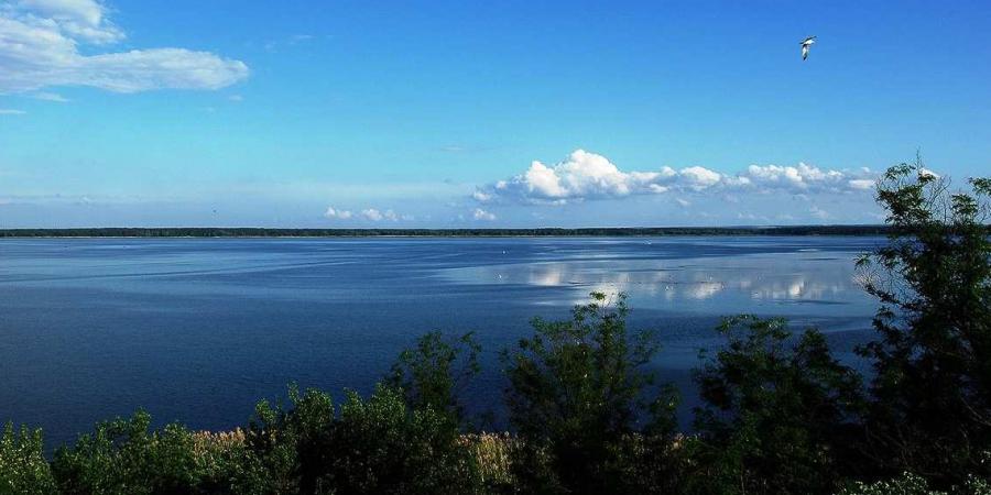 На Херсонщині завдяки прокуратурі з недоброчесного користування повернуто 136 га землі водного фонду - Корупціонер в Україні